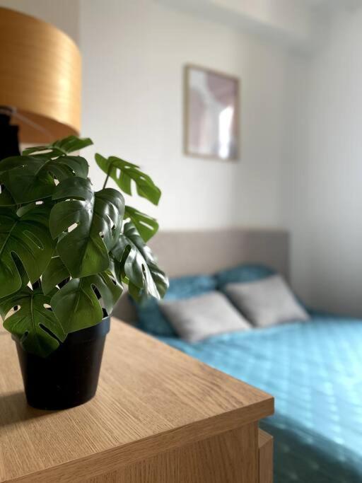 Appartement 2 Pieces A Quelques Minutes De Paris Le Pré-Saint-Gervais Εξωτερικό φωτογραφία